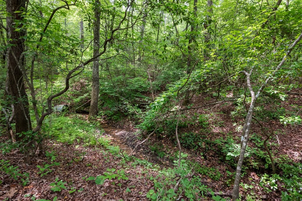 57.64 ac Mountain Ash Road, Ellijay GA 30536 - Photo