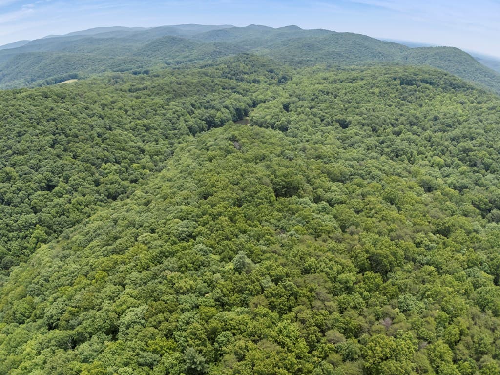 57.64 ac Mountain Ash Road, Ellijay GA 30536 - Photo