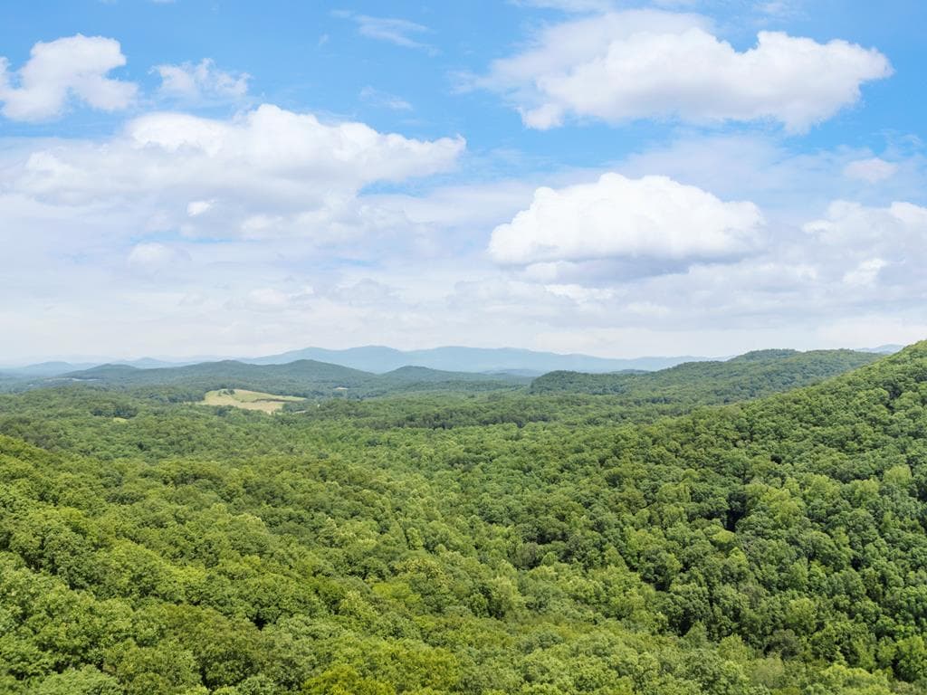 57.64 ac Mountain Ash Road, Ellijay GA 30536 - Primary photo