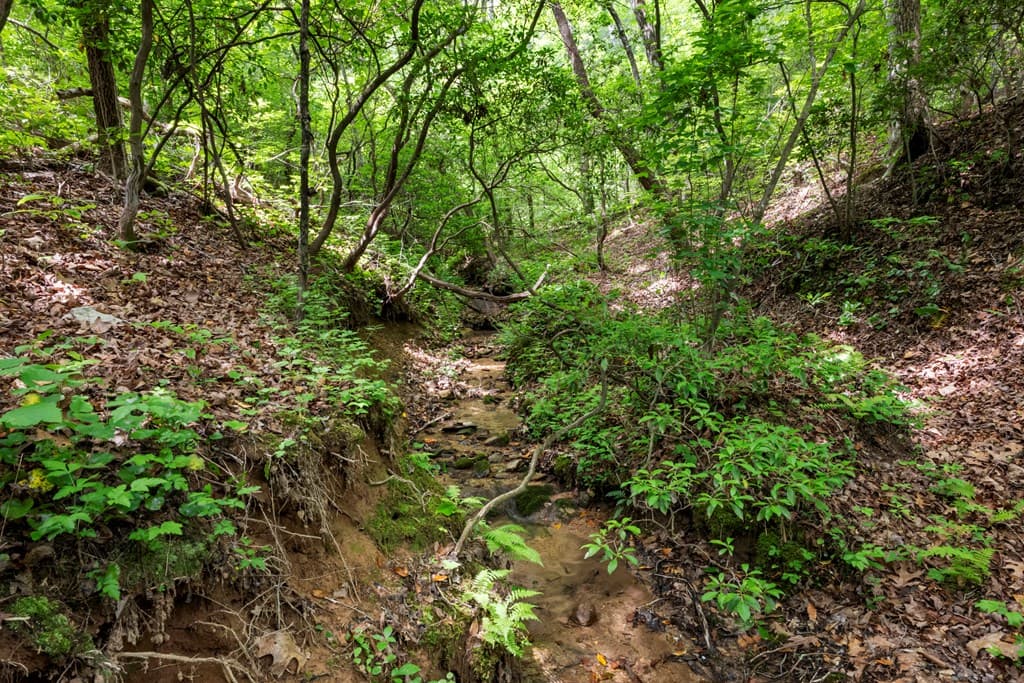 57.64 ac Mountain Ash Road, Ellijay GA 30536 - Photo