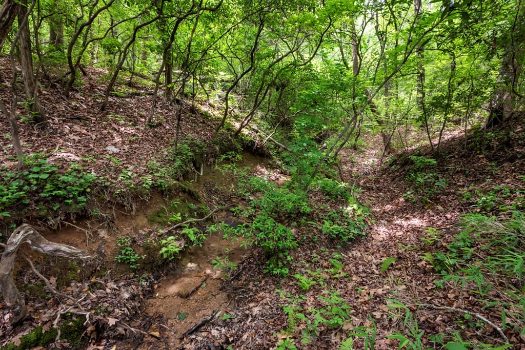 57.64 ac Mountain Ash Road, Ellijay GA 30536 - Photo
