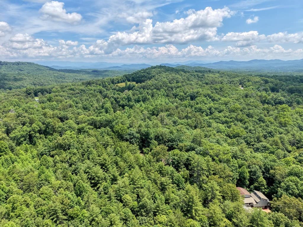 139 Dowd Road, Morganton GA 30560 - Photo