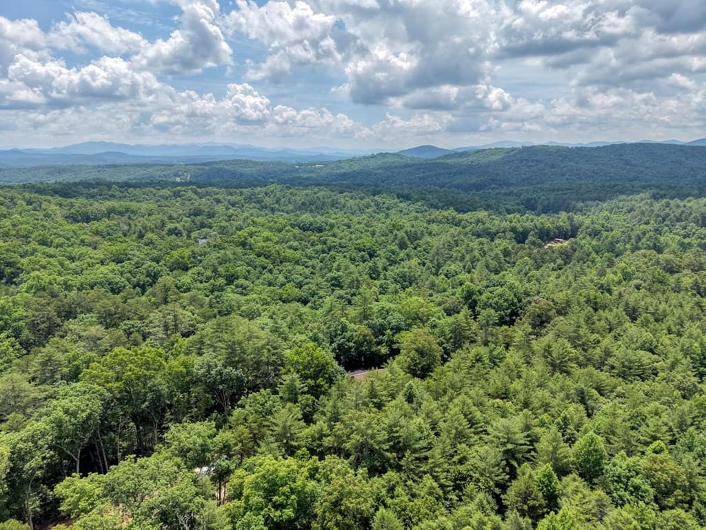 139 Dowd Road, Morganton GA 30560 - Photo