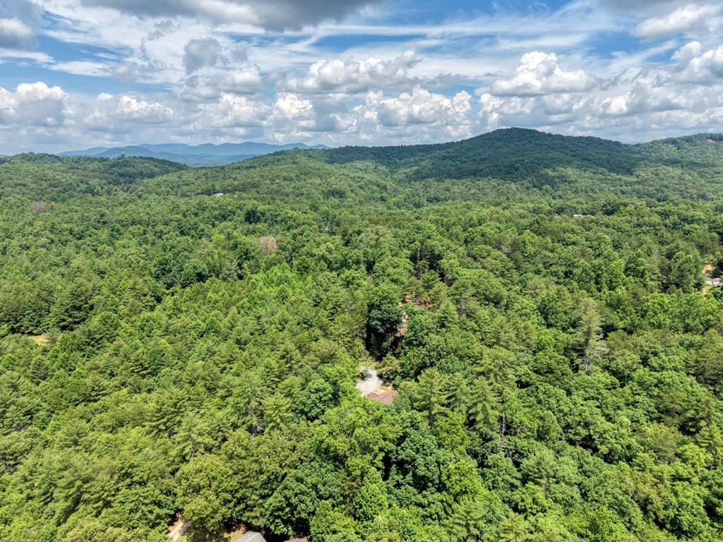 139 Dowd Road, Morganton GA 30560 - Photo