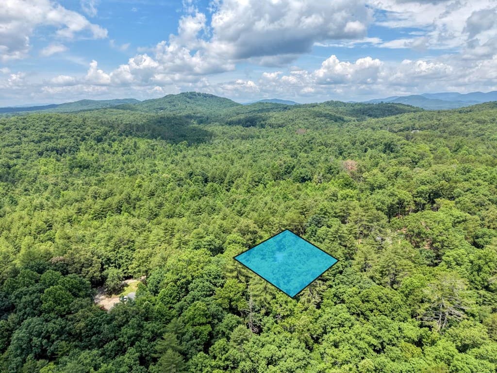 139 Dowd Road, Morganton GA 30560 - Photo