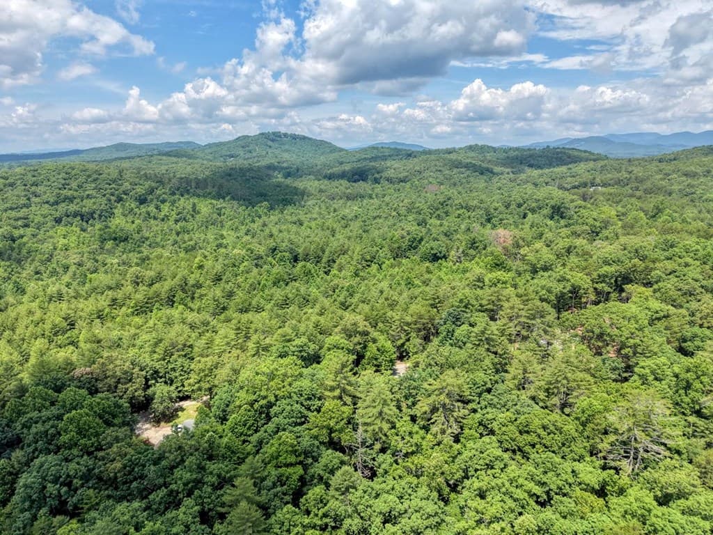 139 Dowd Road, Morganton GA 30560 - Photo