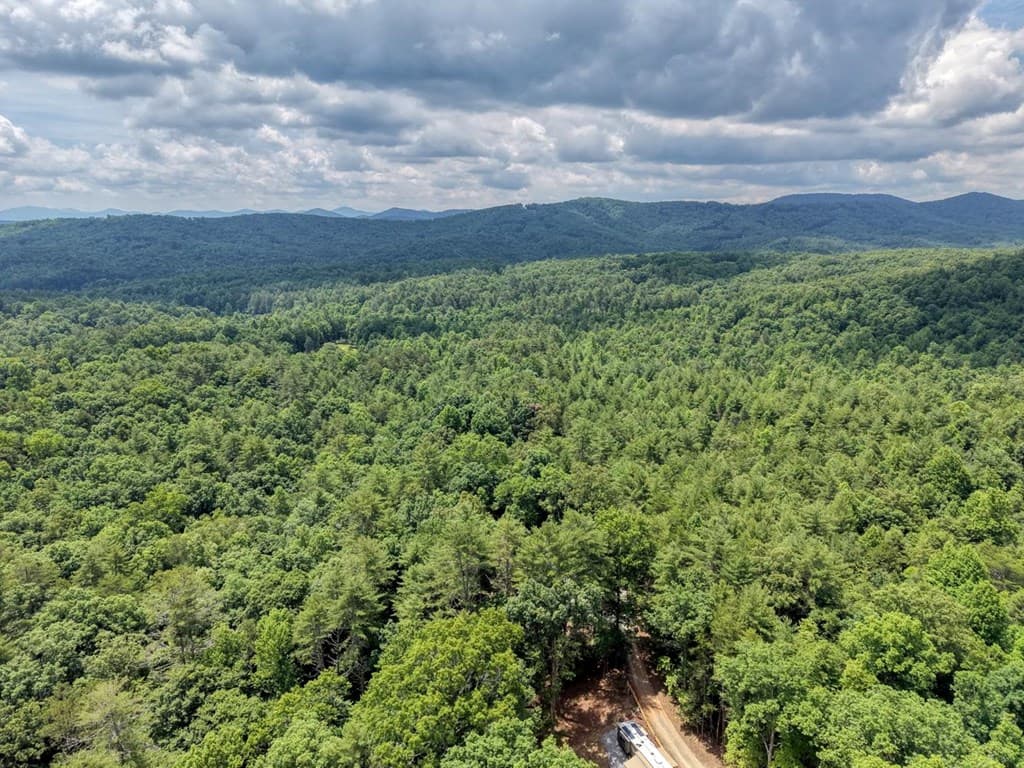 139 Dowd Road, Morganton GA 30560 - Photo