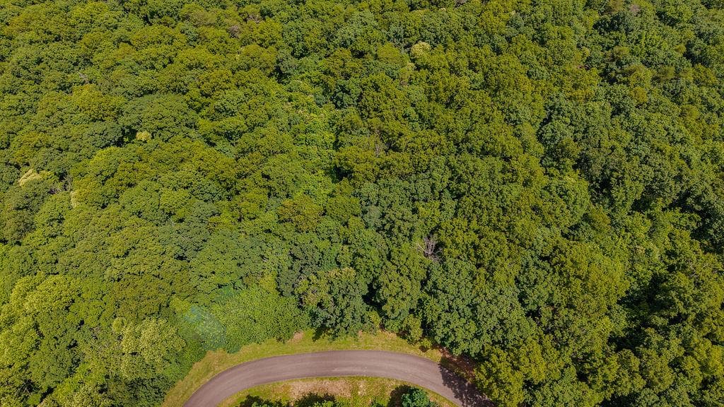 274 Andes Ridge, Ellijay GA 30540 - Photo