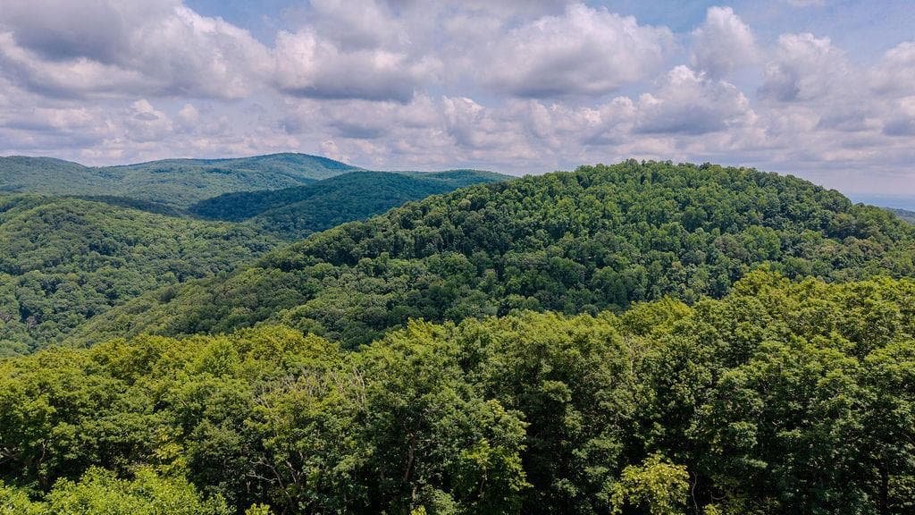 274 Andes Ridge, Ellijay GA 30540 - Photo