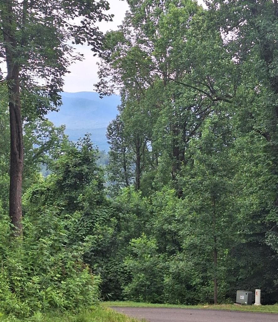 274 Andes Ridge, Ellijay GA 30540 - Photo