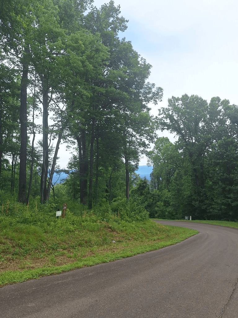 274 Andes Ridge, Ellijay GA 30540 - Photo