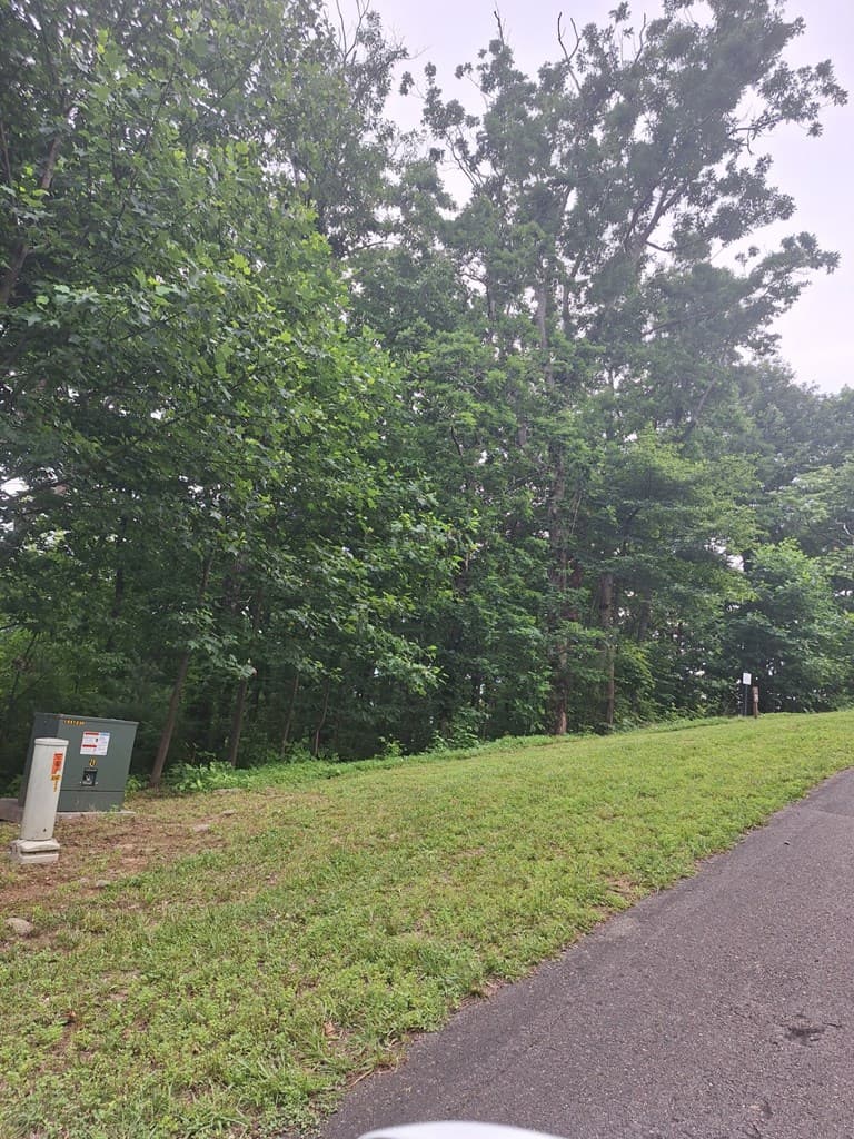 274 Andes Ridge, Ellijay GA 30540 - Photo