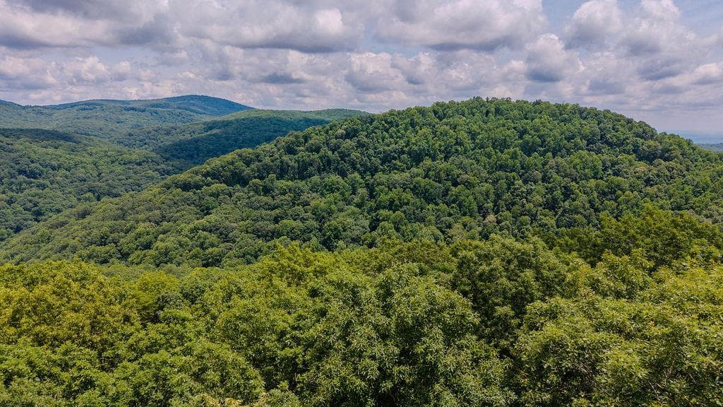 274 Andes Ridge, Ellijay GA 30540 - Photo
