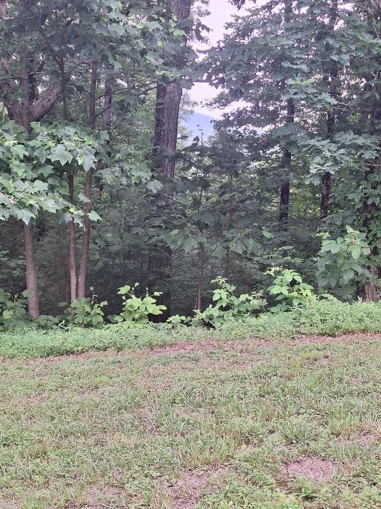 274 Andes Ridge, Ellijay GA 30540 - Primary photo