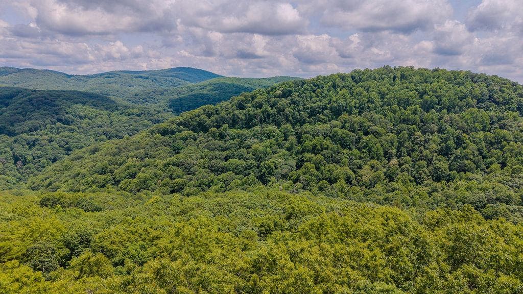 274 Andes Ridge, Ellijay GA 30540 - Photo