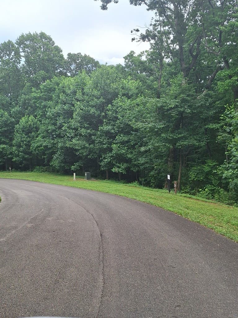 274 Andes Ridge, Ellijay GA 30540 - Photo