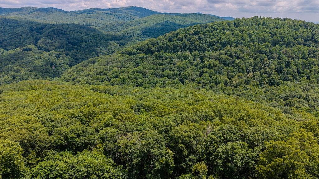 274 Andes Ridge, Ellijay GA 30540 - Photo