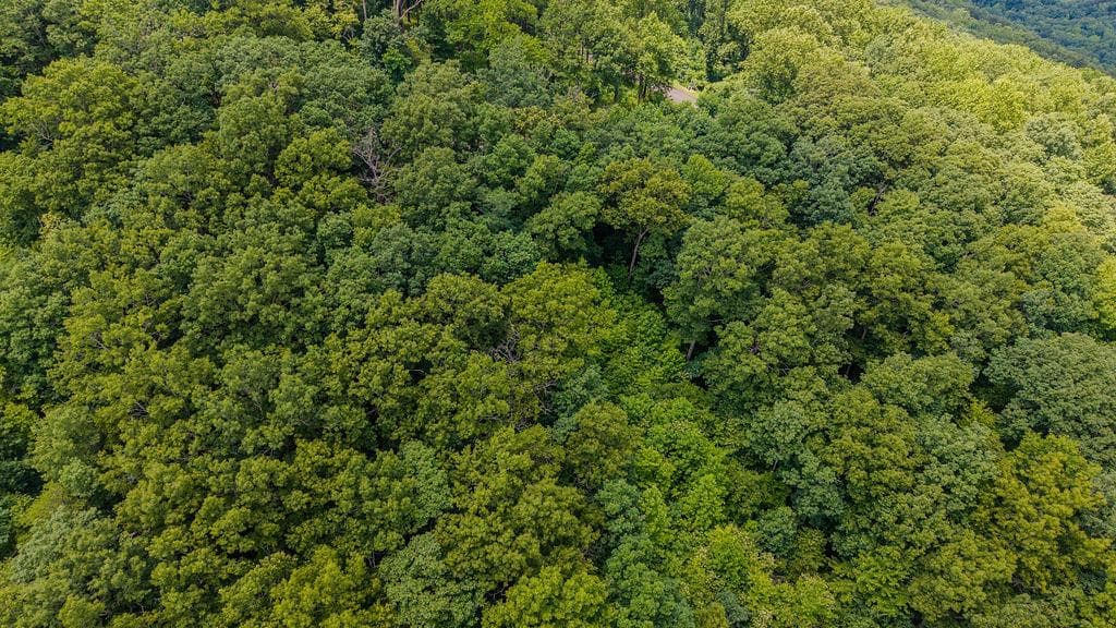 274 Andes Ridge, Ellijay GA 30540 - Photo