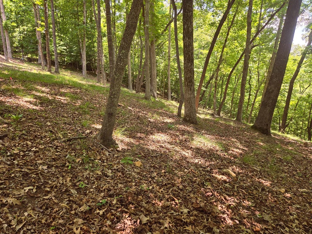 Tr 2 & 3 Settlement Road, Young Harris GA 30582 - Photo