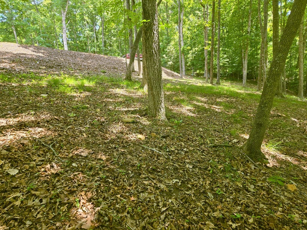 Tr 2 & 3 Settlement Road, Young Harris GA 30582 - Photo