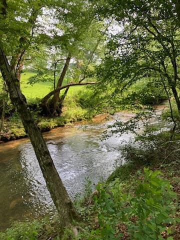 Tr 2 & 3 Settlement Road, Young Harris GA 30582 - Photo