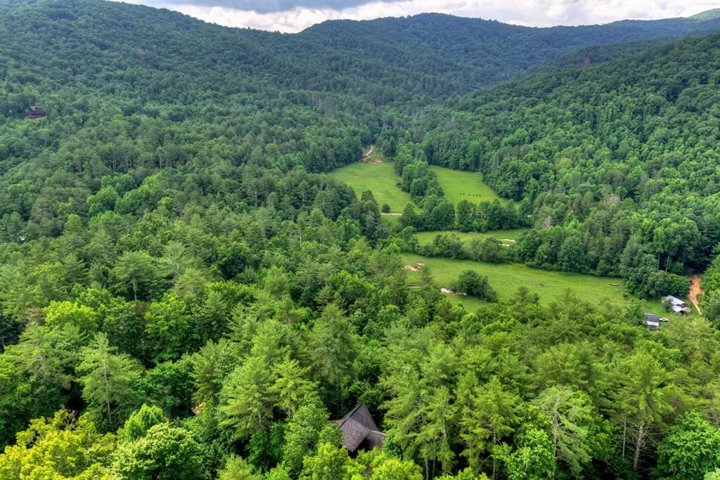 255 Indian Ridge Road, Epworth GA 30541 - Photo