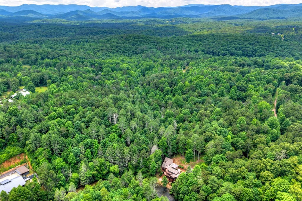192 Delphi Hills Lane, Mccaysville GA 30555 - Photo