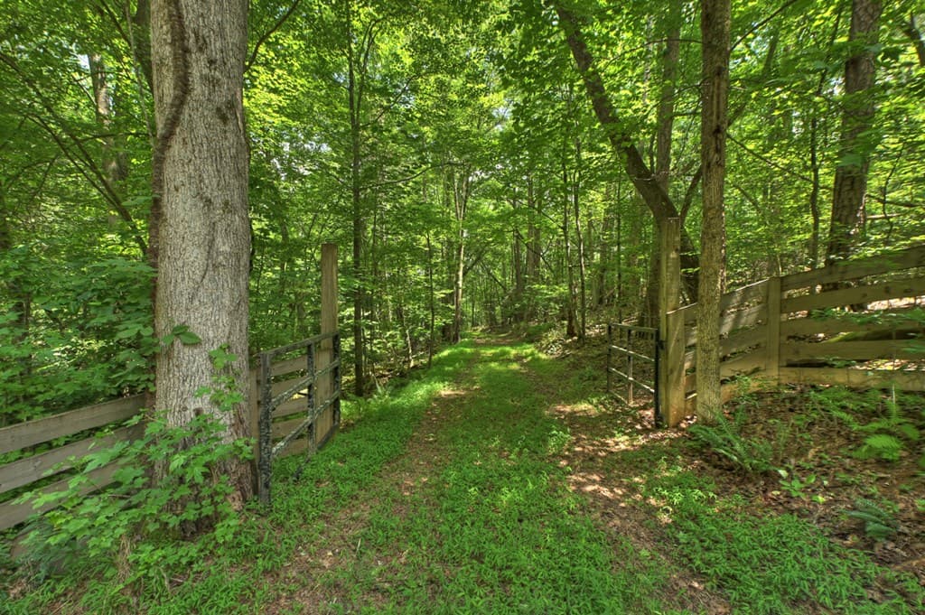 192 Delphi Hills Lane, Mccaysville GA 30555 - Photo