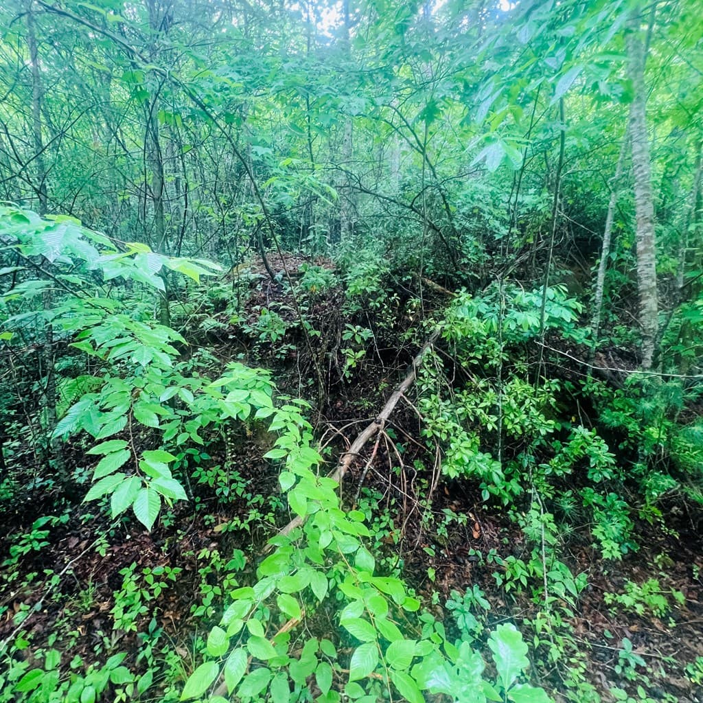 00 Owl Creek Ridge, Murphy NC 28906 - Photo