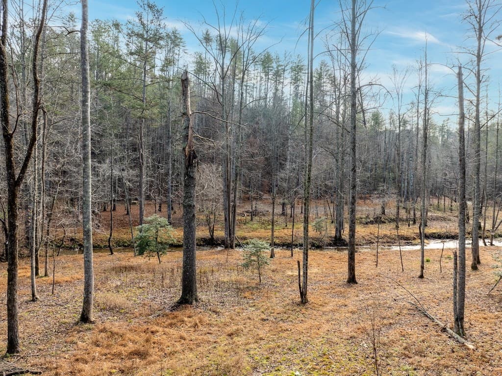 780 Banks Road, Ellijay GA 30540 - Photo