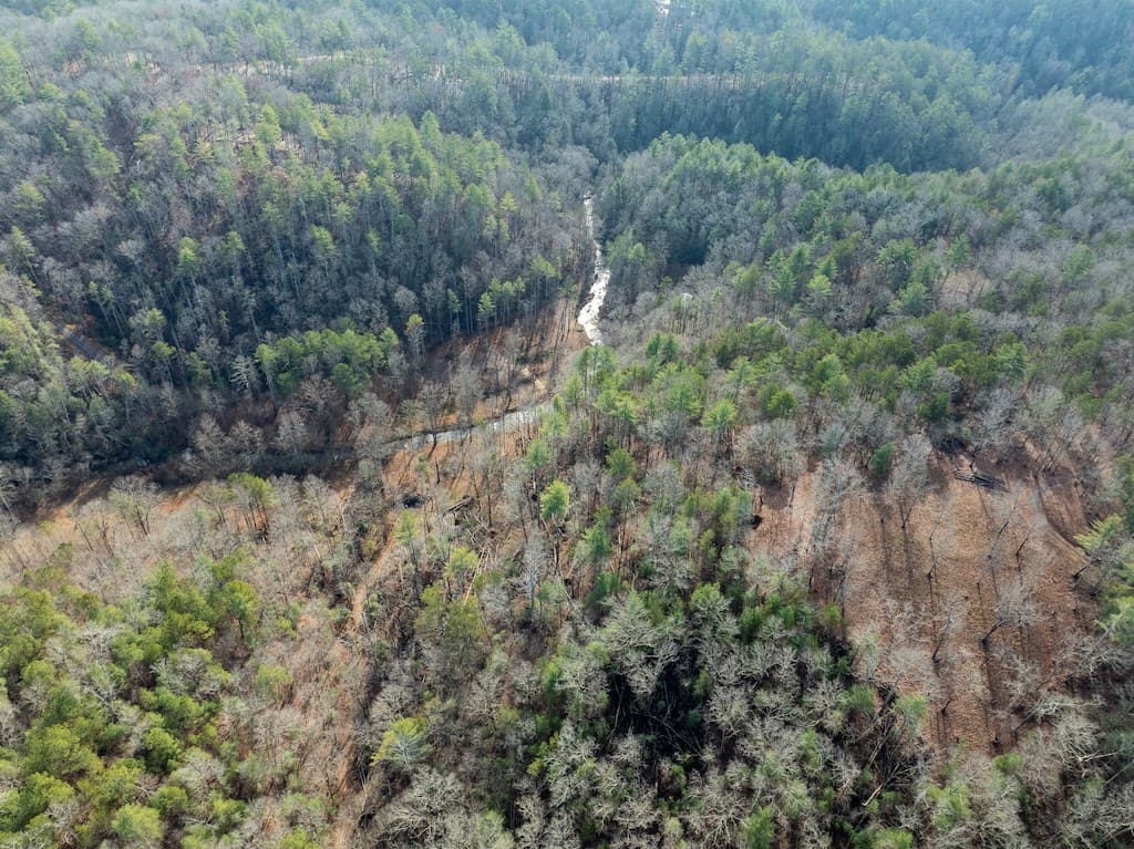 780 Banks Road, Ellijay GA 30540 - Photo
