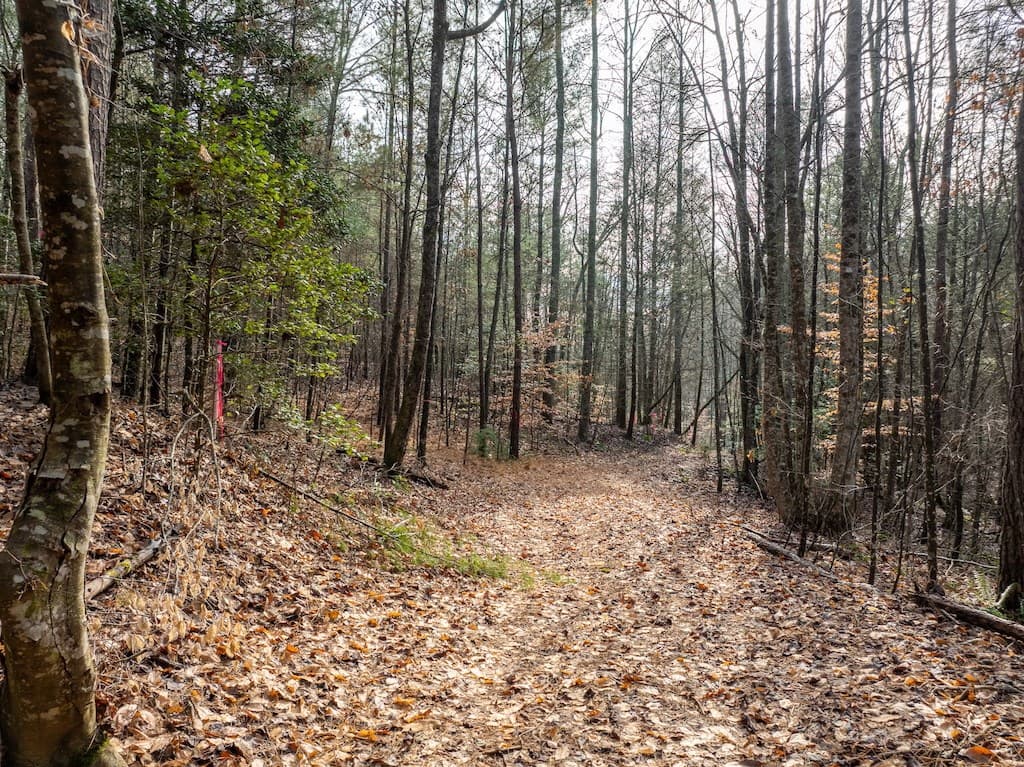 780 Banks Road, Ellijay GA 30540 - Photo