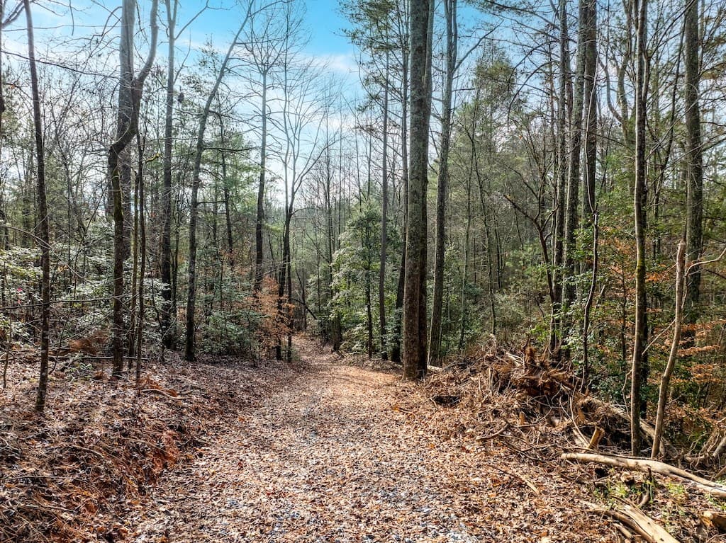 780 Banks Road, Ellijay GA 30540 - Photo