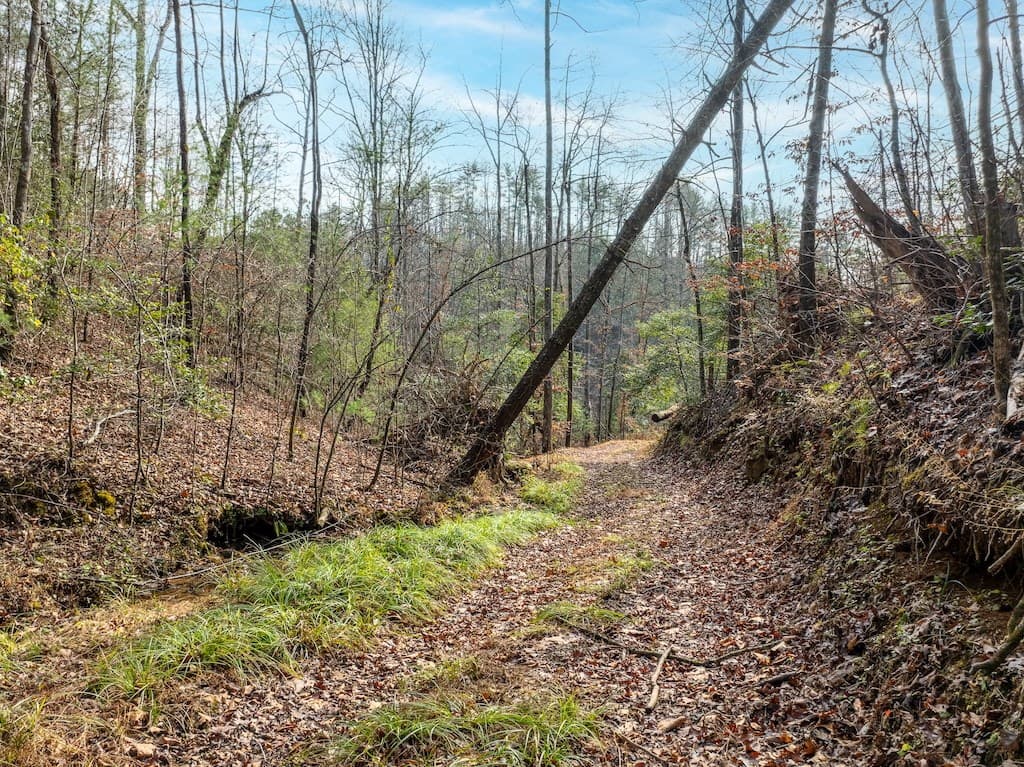 780 Banks Road, Ellijay GA 30540 - Photo