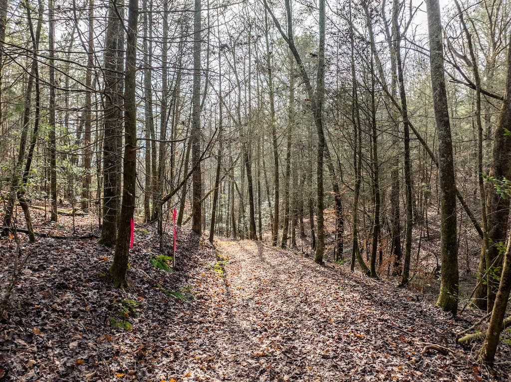 780 Banks Road, Ellijay GA 30540 - Photo