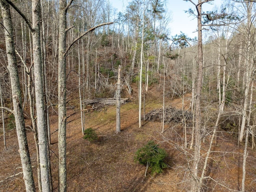 780 Banks Road, Ellijay GA 30540 - Photo
