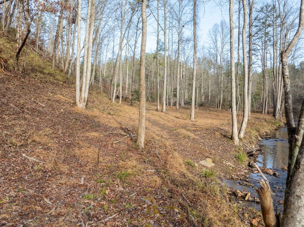 780 Banks Road, Ellijay GA 30540 - Photo