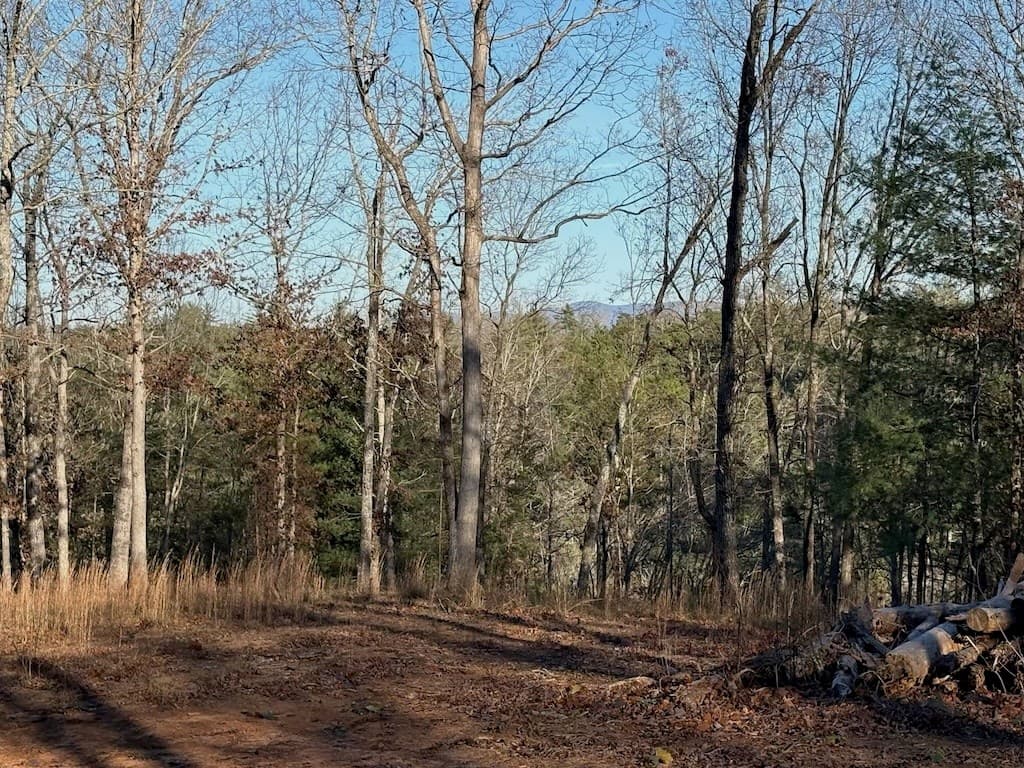 780 Banks Road, Ellijay GA 30540 - Photo