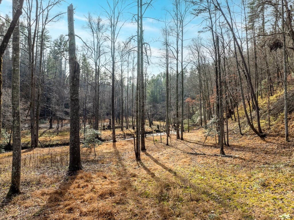 780 Banks Road, Ellijay GA 30540 - Photo