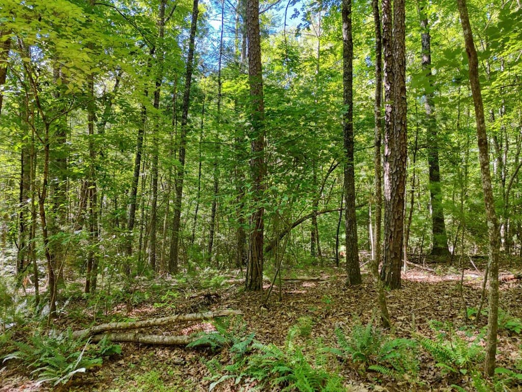 LT 8A&B Lake Breeze Lane, Blairsville GA 30512 - Photo
