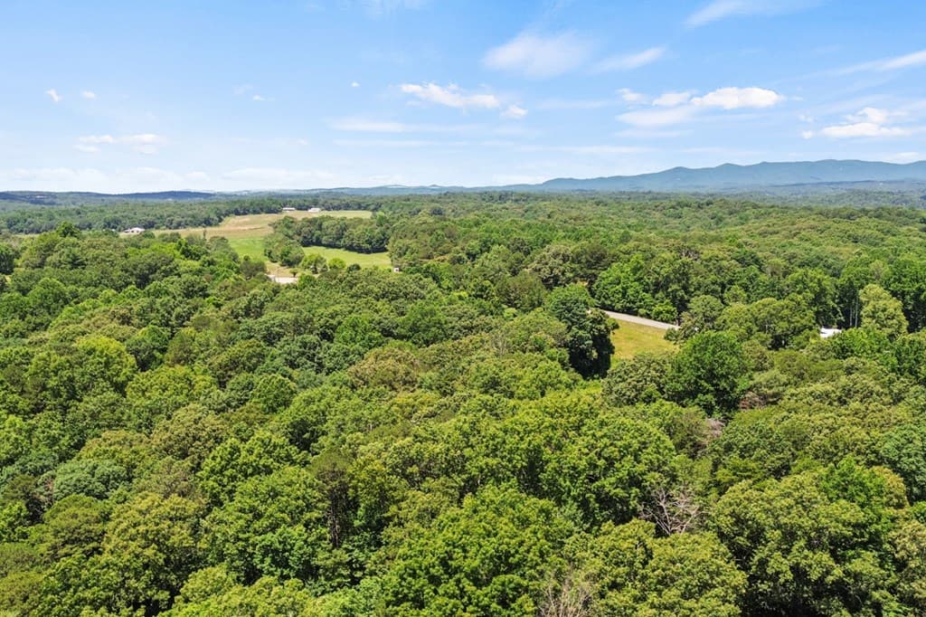 758 Timber Ridge Lane, Ellijay GA 30540 - Photo