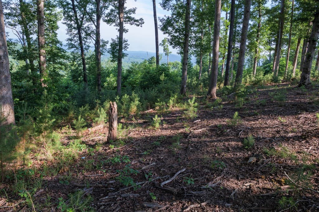 90 Winding Ridge, Blairsville GA 30512 - Photo