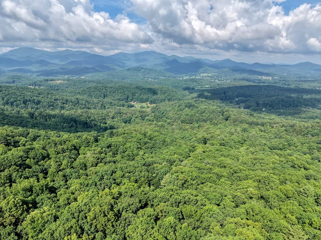 549 Cook Mountain Drive, Blairsville GA 30512 - Photo