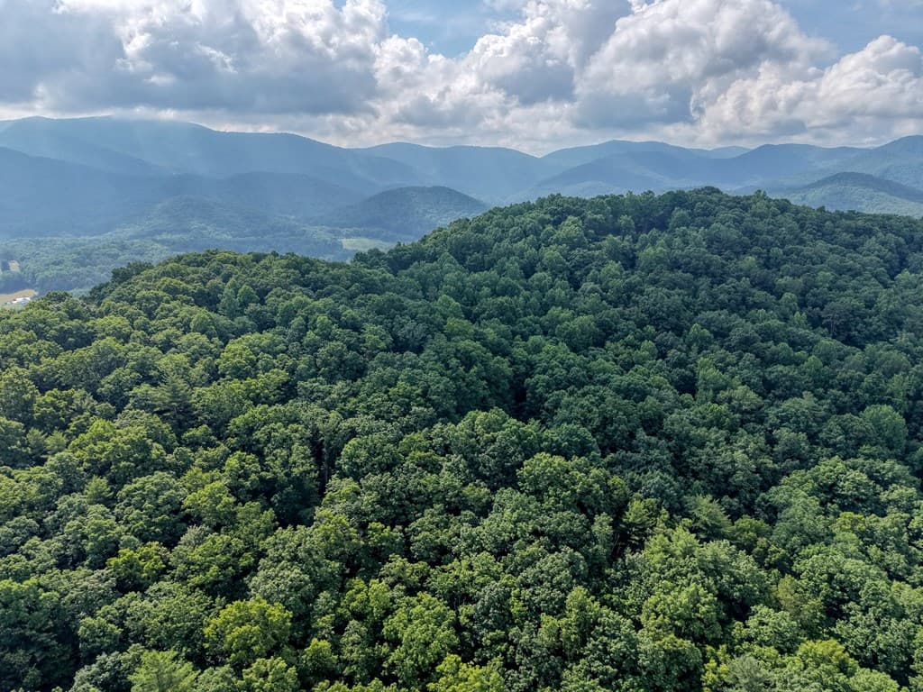 549 Cook Mountain Drive, Blairsville GA 30512 - Photo