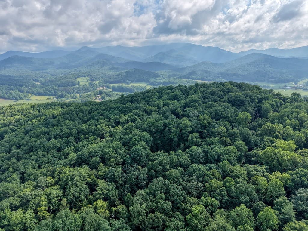 549 Cook Mountain Drive, Blairsville GA 30512 - Photo