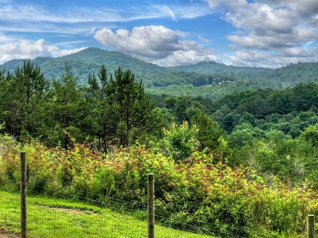 384 Dean Road, Mineral Bluff GA 30559 - Photo