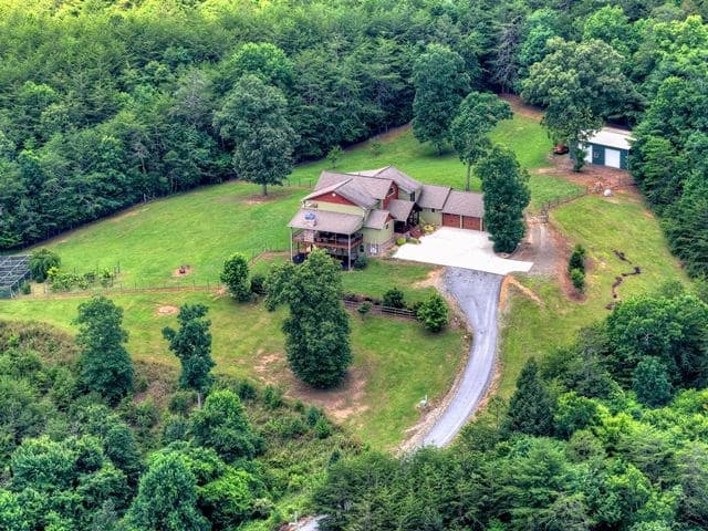 384 Dean Road, Mineral Bluff GA 30559 - Photo