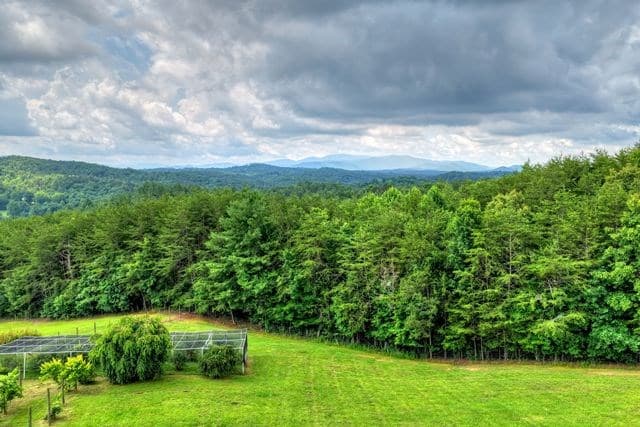 384 Dean Road, Mineral Bluff GA 30559 - Photo