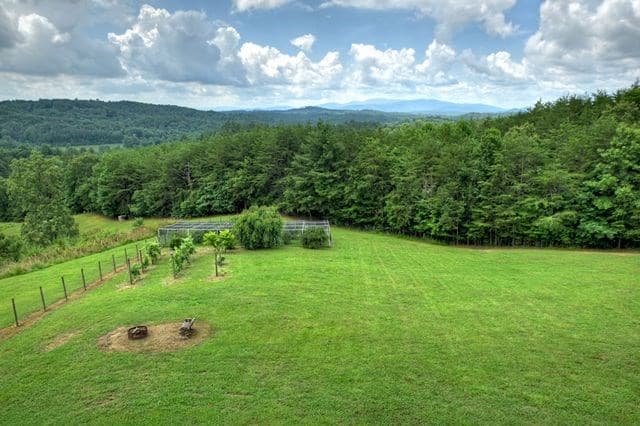 384 Dean Road, Mineral Bluff GA 30559 - Photo