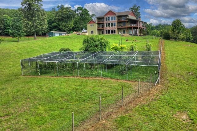 384 Dean Road, Mineral Bluff GA 30559 - Photo